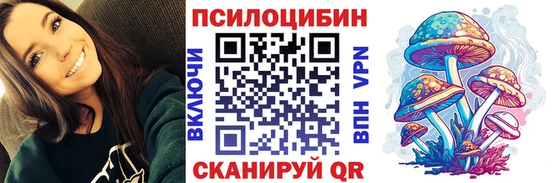 гидра ТОР  Ковров  Галлюциногенные грибы Psilocybe 